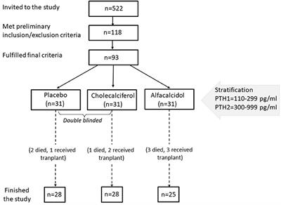 Cholecalciferol vs. Small Doses of Alfacalcidol vs. Placebo in Chronic Kidney Disease Patients on Hemodialysis: A Randomized Parallel Group Study